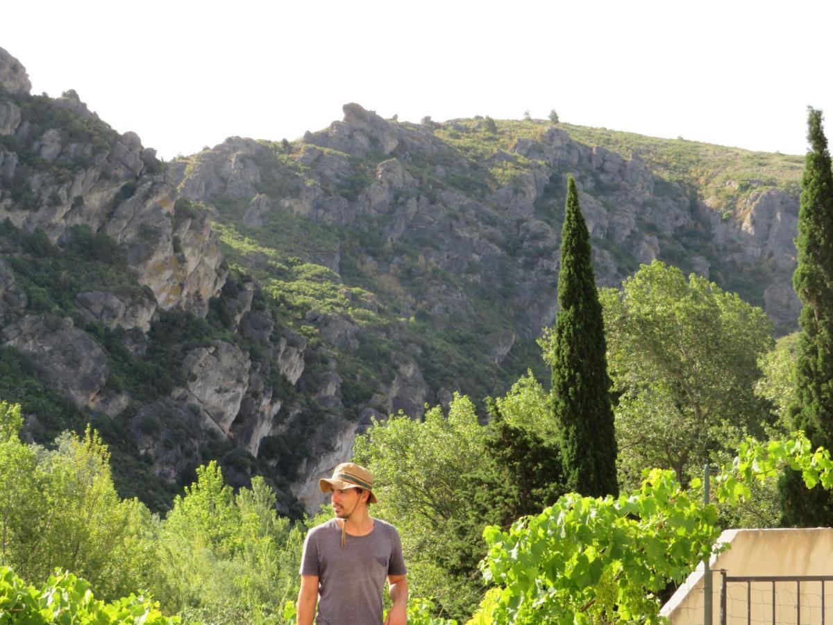 Villa Ripaud, Private River Swimming, Hot Tub Villeseque-des-Corbieres Eksteriør bilde